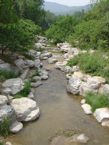 水泥假山設計的作用