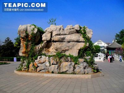 自然之韻，匠心之作 淺談假山的藝術與文化內涵